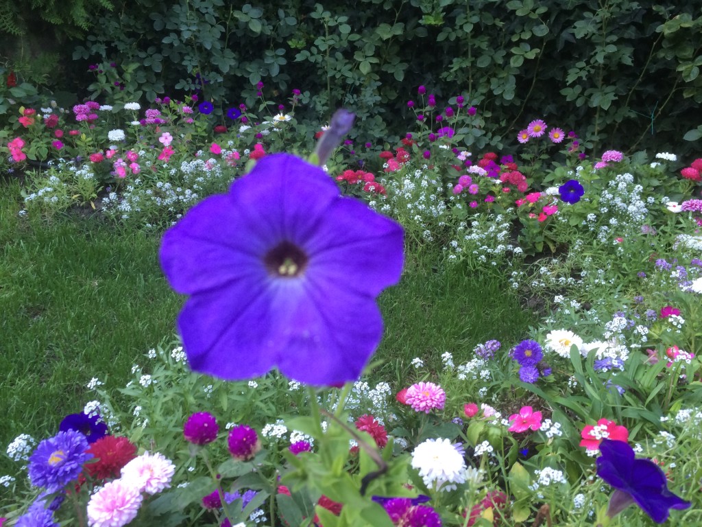 Meditation hungerford